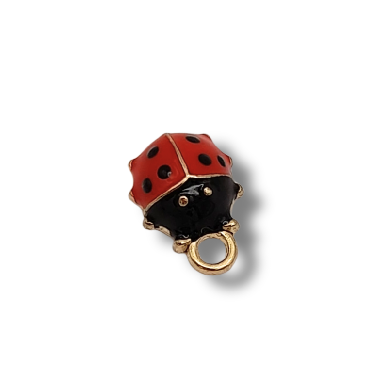 Coccinella 20mm