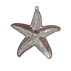 stella marina in metallo argento 60mm