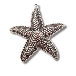 stella marina in metallo argento 60mm