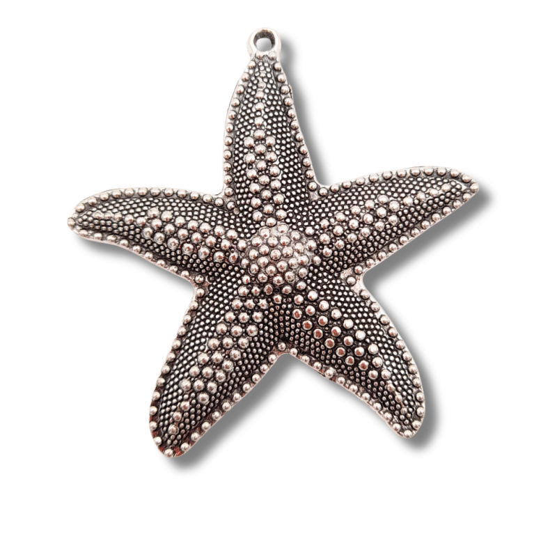 stella marina in metallo argento 60mm