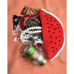 watermelon bag